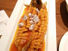 -峨嵋小镇·川菜(正定朗华店)