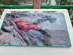 -广东惠东海龟国家级自然保护区