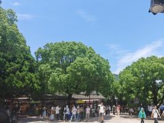 -普陀山风景名胜区-法雨禅寺
