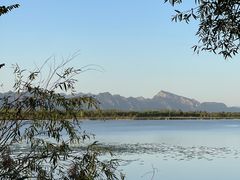 -野鸭湖国家湿地公园