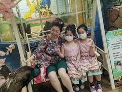 -杭州开元森泊度假乐园