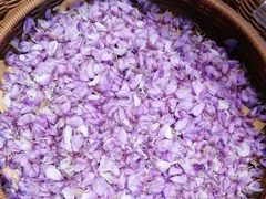 -唐河王记·南阳民间菜(国基路店)