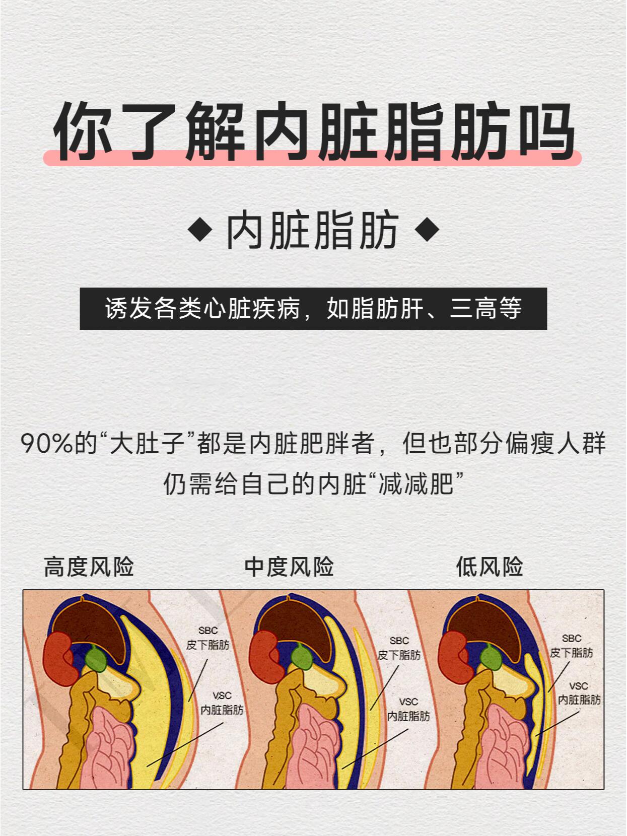 长满脂肪的内脏图片图片