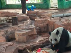 -秦皇岛野生动物园