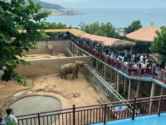 -西霞口神雕山野生动物世界