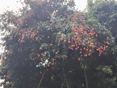 -青青世界
