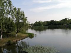 -尚贤河湿地