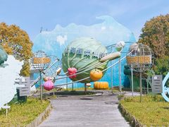 -上海都市菜园