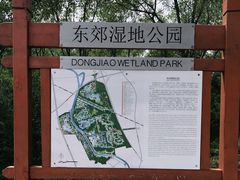 -东郊湿地公园