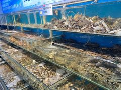 -仙螺岛海鲜自助餐厅(总店)