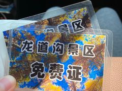 -龙道沟景区