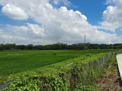 -长洲岛