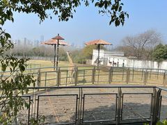 -合肥野生动物园