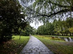 -上海共青森林公园