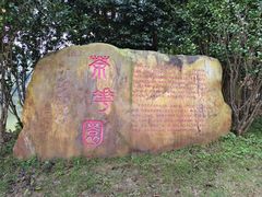 -广州市帽峰山景区