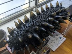 -宫品海参专卖店(静安大宁店)