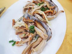 朝鲜象拔蚌-蚝专家(北滘店)