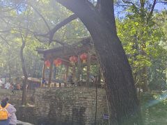 -井塘古村