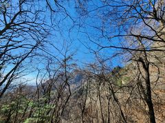 -王顺山国家森林公园