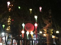 -纳兰傣雀傣味餐厅