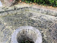 -上海佘山国家森林公园天马山园