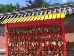 -阳台山自然风景区