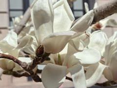 -锦什坊街叁拾伍号大厦