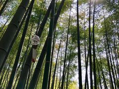 -苏州环秀晓筑养生度假村