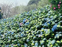 -苏州上方山国家森林公园