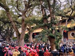-普陀山风景名胜区-法雨禅寺