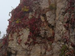 -玉渡山风景区-售票处