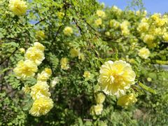 -长春市南湖公园