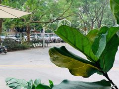 -Maxpoint Kitchen 西餐咖啡(乐峰广场店)