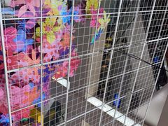 -新世界百货(明洞总店)