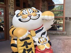 -上海野生动物园老虎餐厅