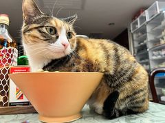 -新荟城(望京店)