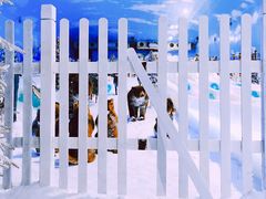 -世界之窗阿尔卑斯冰雪世界