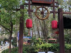 -合肥滨湖国家森林公园