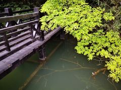 -白马涧龙池景区