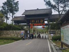 -黄陂区野村谷景区