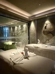 -VELEE·SPA高定疗愈会所