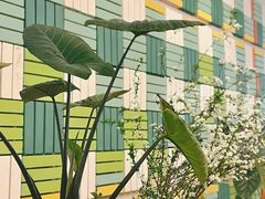 -Green Option(官舍店)