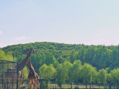 -哈尔滨北方森林动物园