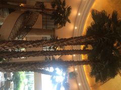 圣爵菲斯大酒店-圣爵菲斯大酒店(长沙世界之窗店)