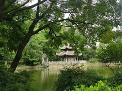 -习家池