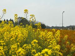 -中国天府农业博览园