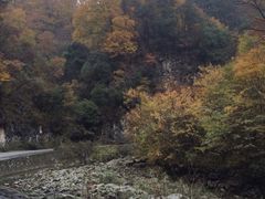 -秦岭风景区