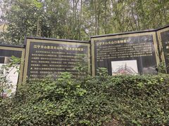 -南京市江宁方山