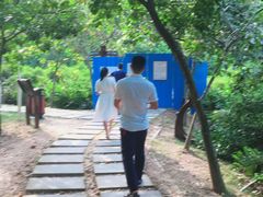 -大亚湾红树林城市湿地公园