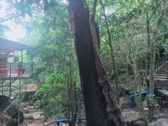 -七仙岭温泉国家森林公园